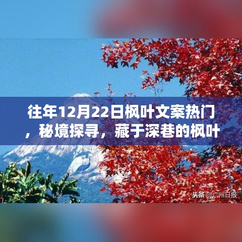 秘境探尋，楓葉秘境小店，深巷中的熱門寶藏文案