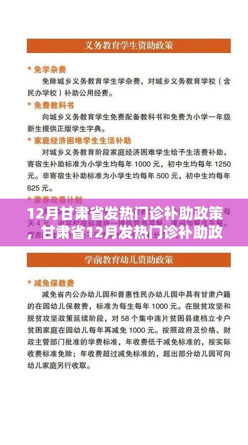 甘肅省十二月發(fā)熱門診補(bǔ)助政策詳解及申請步驟指南