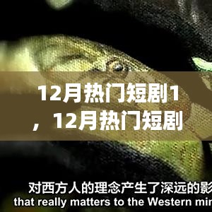 12月熱門短劇啟示錄，變化中的學(xué)習(xí)與自信成就之旅