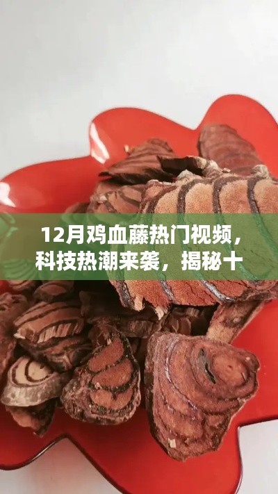 揭秘十二月雞血藤熱潮背后的神秘科技新品，熱門視頻展現(xiàn)科技新潮