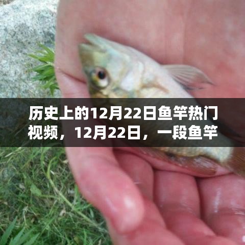 12月22日魚竿舞動(dòng)日，重溫歷史溫馨記憶