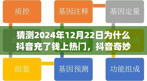 揭秘抖音奇妙日，小杰的熱門夢想與暖心陪伴背后的秘密，為何充值就能上熱門？