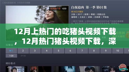 12月熱門豬頭視頻下載，深度評(píng)測(cè)與介紹，不容錯(cuò)過的美食盛宴