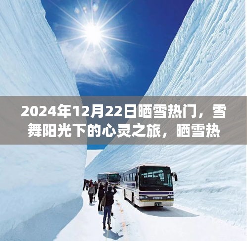 雪舞陽光下的心靈之旅，啟程追尋內(nèi)心的寧靜與平和（曬雪熱門）
