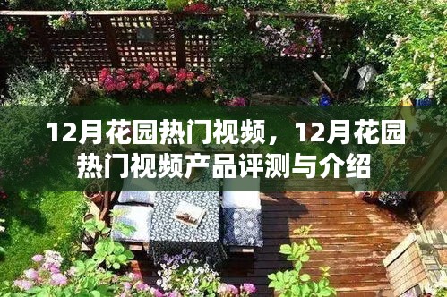 12月花園熱門視頻產(chǎn)品評測與介紹，詳解視頻內(nèi)容與特色