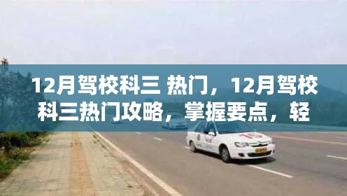百鳥朝鳳 第3頁