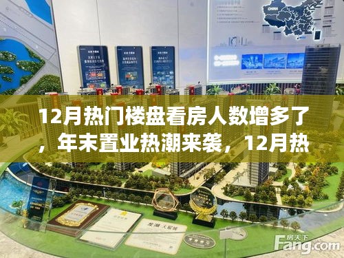 年末置業(yè)熱潮來襲，揭秘12月熱門樓盤看房人數(shù)激增現(xiàn)象解讀