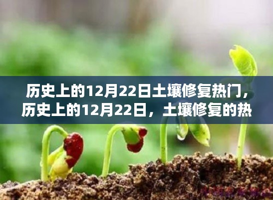 歷史上的土壤修復(fù)熱潮，重塑自信的種子在12月22日破土而出