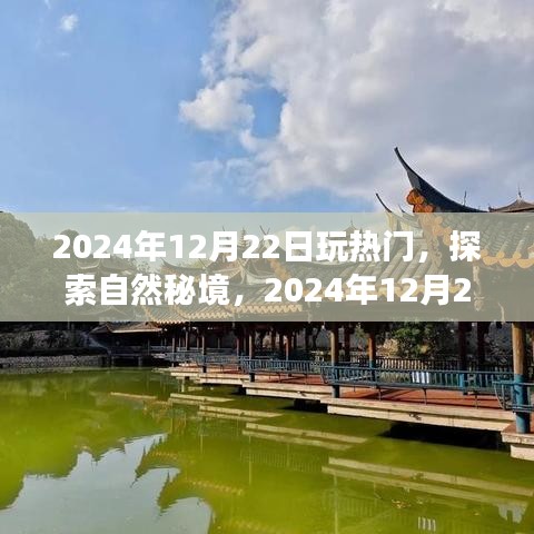 探索自然秘境，揭秘?zé)衢T旅行地，尋找內(nèi)心的寧靜與平和——2024年12月22日的旅程