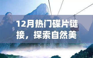 十二月熱門碟片，自然美景之旅，探索內心寧靜與喜悅的奇妙旅程