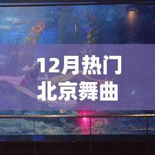 與自然共舞，北京舞曲探秘與內心的寧靜樂章（12月熱門舞曲盤點）