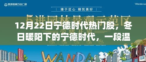 冬日暖陽下的寧德時代，熱門股的投資故事