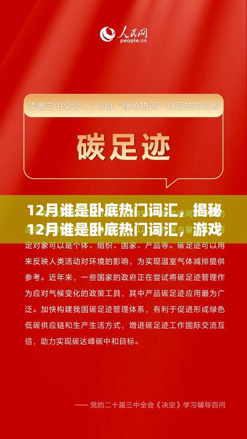 揭秘十二月臥底游戲熱門詞匯，語言魅力的背后