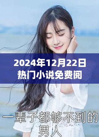 夏星辰熱門小說免費(fèi)閱讀指南，2024年12月22日一站式攻略