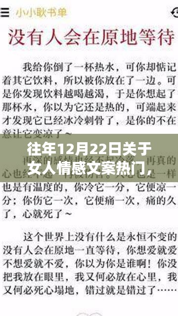 歷年十二月二十二日女性情感文案深度解讀，探尋背后的意義與爭議