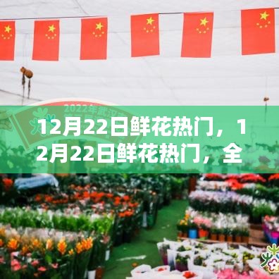 12月22日鮮花熱門(mén)，全面評(píng)測(cè)與深度解析