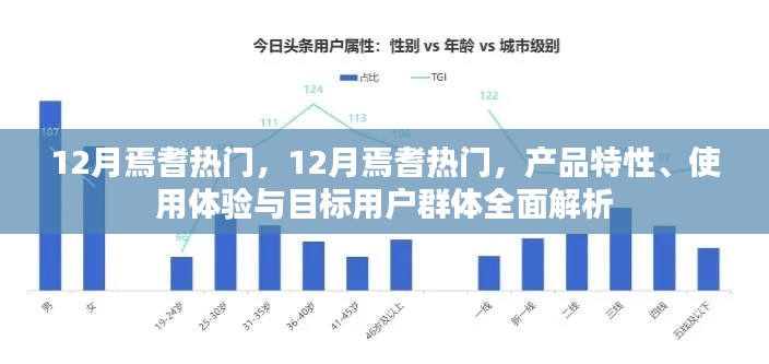 全面解析，焉耆熱門產(chǎn)品特性、用戶體驗(yàn)與目標(biāo)用戶群體——12月版