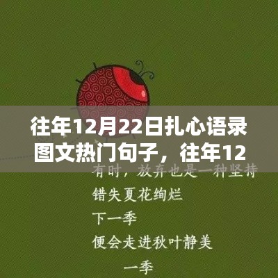往年12月22日扎心語錄圖文熱門句子深度解析與介紹