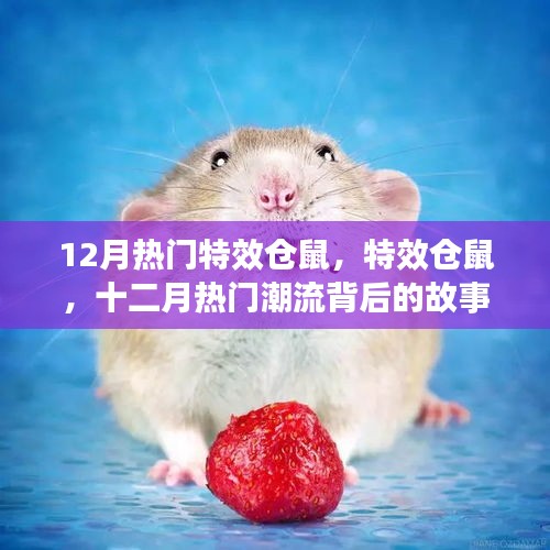 揭秘十二月熱門特效倉(cāng)鼠背后的故事