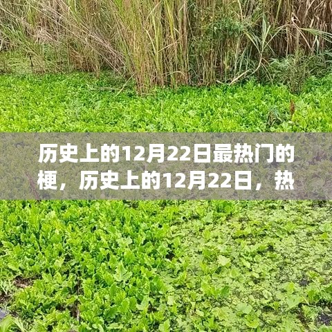 歷史上的12月22日熱門梗深度解析，演變與影響探討
