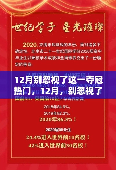 12月新星璀璨崛起，探尋奪冠熱門之星領域地位與崛起之路