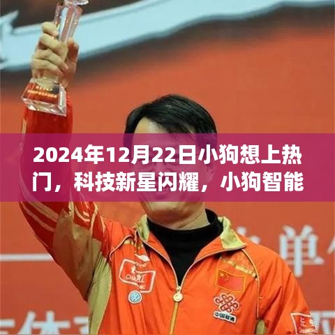 揭秘小狗智能寵物未來(lái)之旅，科技新星閃耀，熱門新品揭秘，小狗想上熱門！
