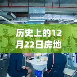 揭秘歷史房地產(chǎn)風(fēng)云，深度解析與觀點(diǎn)碰撞——?dú)v史上的房地產(chǎn)風(fēng)云變遷在12月22日這一天揭曉