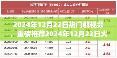 2024年12月22日火爆群視頻盛宴，視覺狂歡，不容錯(cuò)過
