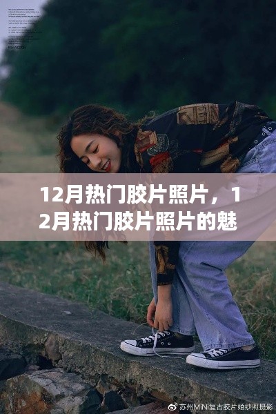 深入探究，12月熱門膠片照片的魅力與價值——某某觀點解析