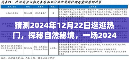 探秘自然秘境，揭秘奇妙旅行的未來篇章（2024年12月22日）