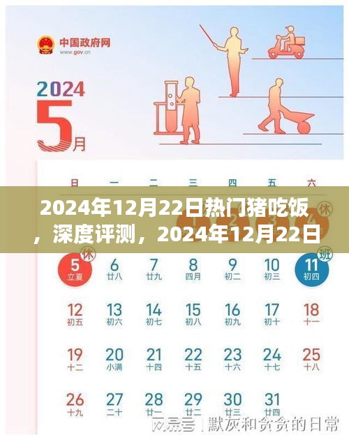 2024年熱門豬吃飯產(chǎn)品深度評(píng)測與體驗(yàn)報(bào)告