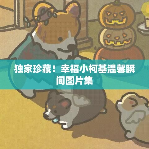 獨(dú)家珍藏！幸福小柯基溫馨瞬間圖片集