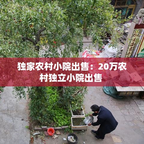 小鳥依人 第3頁