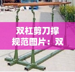 雙杠剪刀撐規(guī)范圖片：雙杠制作尺寸 