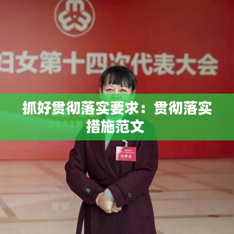 抓好貫徹落實要求：貫徹落實措施范文 
