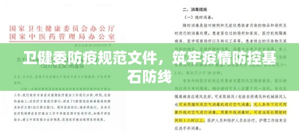衛(wèi)健委防疫規(guī)范文件，筑牢疫情防控基石防線
