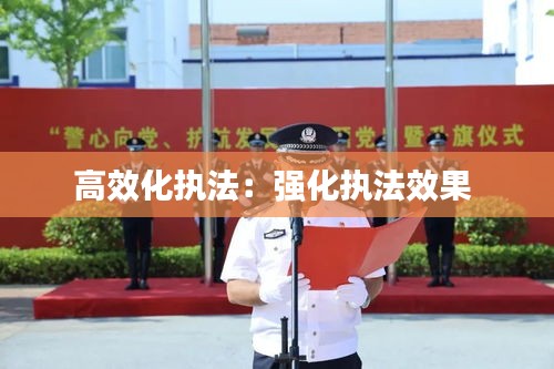 高效化執(zhí)法：強化執(zhí)法效果 