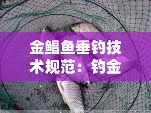 金鯧魚垂釣技術(shù)規(guī)范：釣金鯧魚沉底還是釣浮漂 