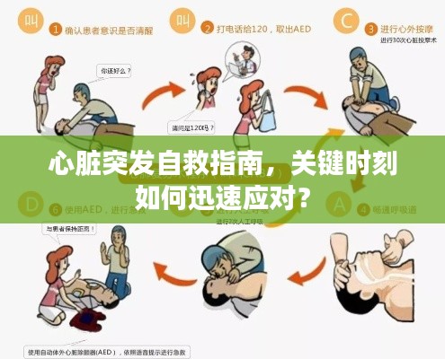 心臟突發(fā)自救指南，關(guān)鍵時刻如何迅速應(yīng)對？