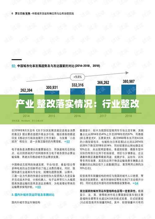 產(chǎn)業(yè) 整改落實(shí)情況：行業(yè)整改 