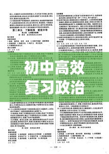 初中高效復習政治答案：政治高效課堂九年級 