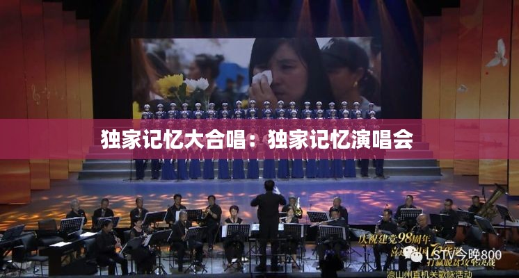 獨(dú)家記憶大合唱：獨(dú)家記憶演唱會(huì) 