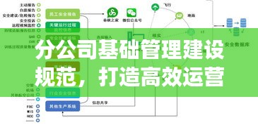 分公司基礎管理建設規(guī)范，打造高效運營體系的關鍵要素
