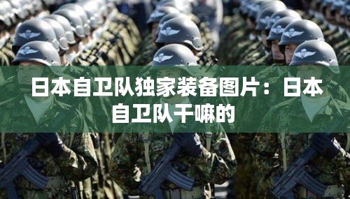 日本自衛(wèi)隊(duì)獨(dú)家裝備圖片：日本自衛(wèi)隊(duì)干嘛的 