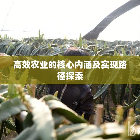 高效農(nóng)業(yè)的核心內(nèi)涵及實現(xiàn)路徑探索