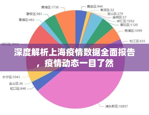 深度解析上海疫情數(shù)據(jù)全面報告，疫情動態(tài)一目了然