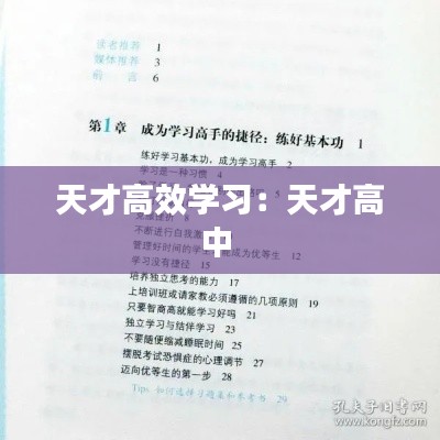 天才高效學(xué)習(xí)：天才高中 