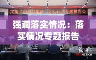 強(qiáng)調(diào)落實(shí)情況：落實(shí)情況專題報(bào)告 