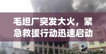 毛坦廠突發(fā)大火，緊急救援行動迅速啟動，現(xiàn)場情況如何？