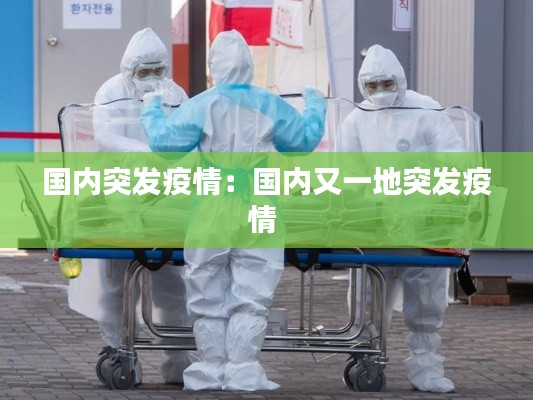國內(nèi)突發(fā)疫情：國內(nèi)又一地突發(fā)疫情 